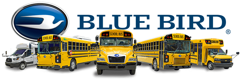 blue bird buses for sale 1