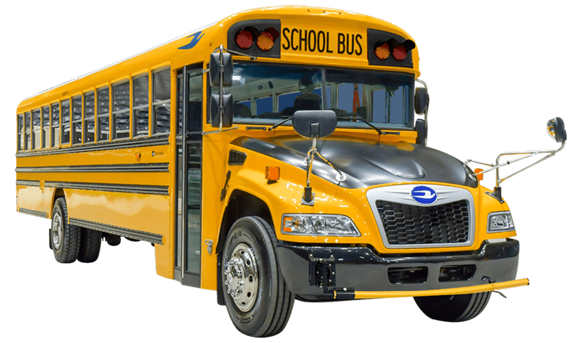 blue bird vision school bus for sale